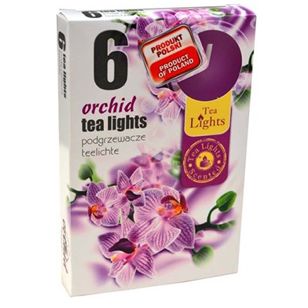 chi tiết Admit Svícka cajová 6ks Orchid
