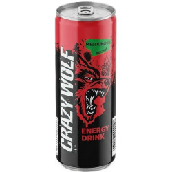 Energy Drink 0,25L Meloun