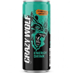 Energy Drink 0,25L Kaktus (15)