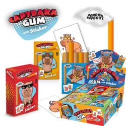 Capybara Gum with Sticker (18)