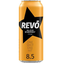 UA Revo 0,5L Mango (24)