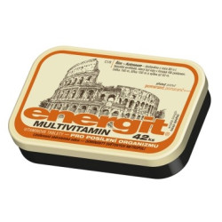 Energit 42tbl Multivitamin