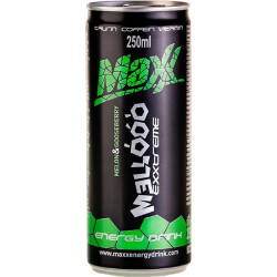 Maxx 0,25L Meloun