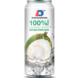 American Drink Coconut Water 0,5L (24)