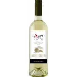 Campo de Chile 0,75L Chardonnay (6ks)