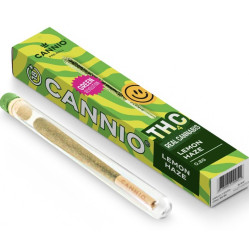 Cannio Joint Lemon Haze