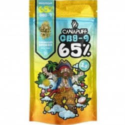 CanaPuff Květy 1g CBG9 65% Caribbean Breeze