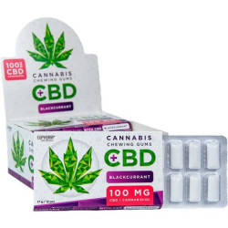 Euphoria Chewing Gum 17g Blackcurrant (12)