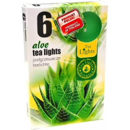 chi tiết Admit Svíčka Čajová 6ks Aloe Vera
