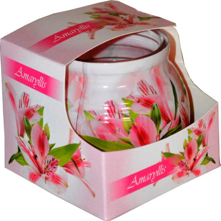 chi tiết Admit Svíčka ve Skle 85g Amarylis