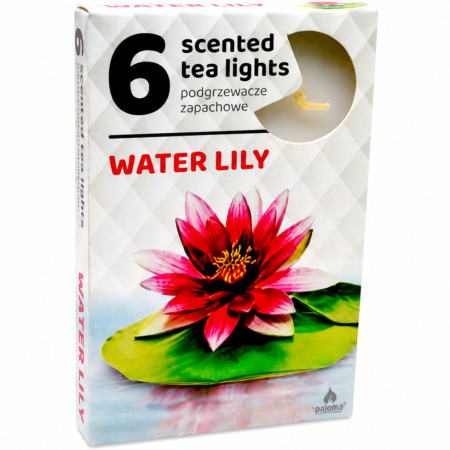 chi tiết Admit Svíčka Čajová 6ks Water Lily