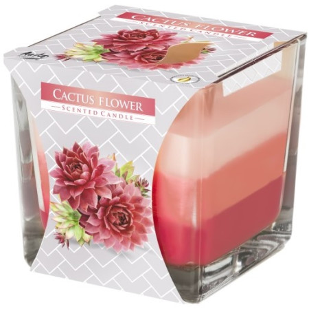 chi tiết Bispol svíčka Kaktus/ Cactus Flower