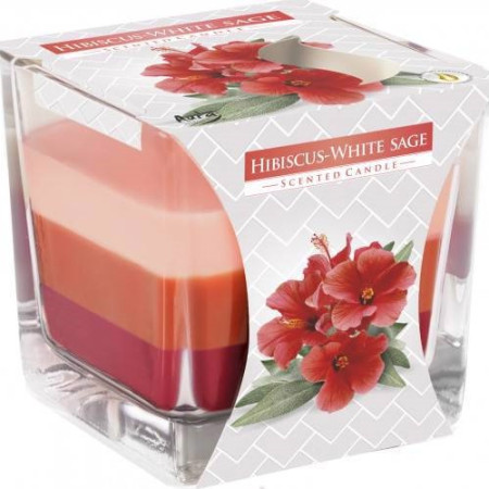 detail Bispol Svíčka Hibiscus/ White Sage (6)