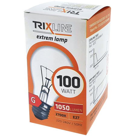 chi tiết Zarovka 100W (10)