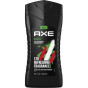 náhled Axe 250ml SG Africa (x6/bal)