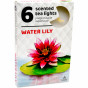 xem trước Admit Svíčka Čajová 6ks Water Lily
