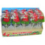 náhled Lizatko 15g Watermelon (36)