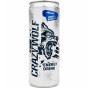 xem trước Energy Drink 0,25L Kokos & Borůvka (15)