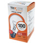 xem trước Zarovka 100W (10)